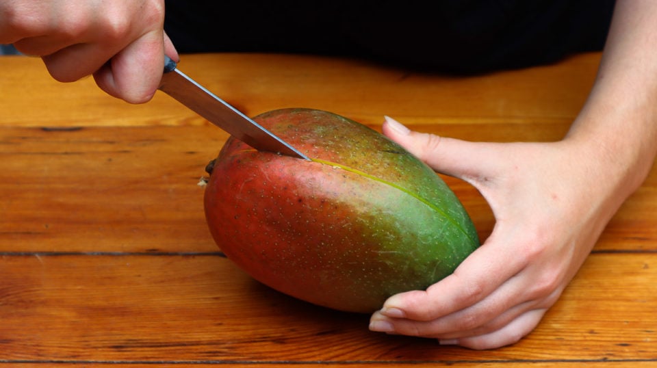 How To Grow A Mango Tree From Seed StepByStep