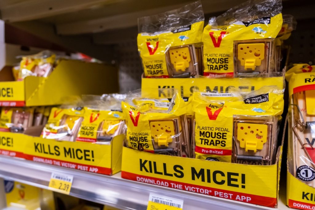 Mice traps on a store shelf.