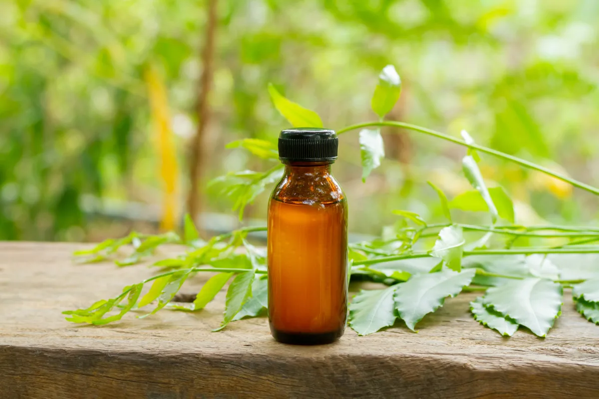 Small bottle of neem oil next to neem leaves.