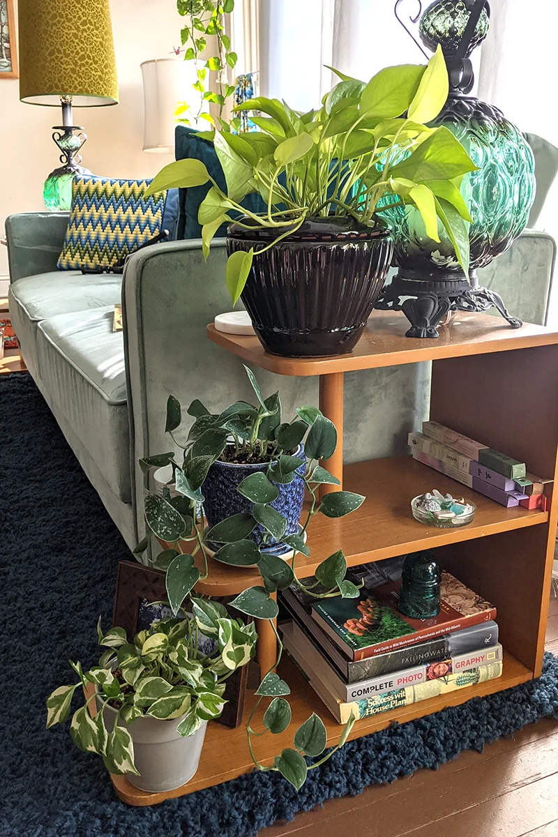 Three different types of pothos on a shelf at the end of a couch.