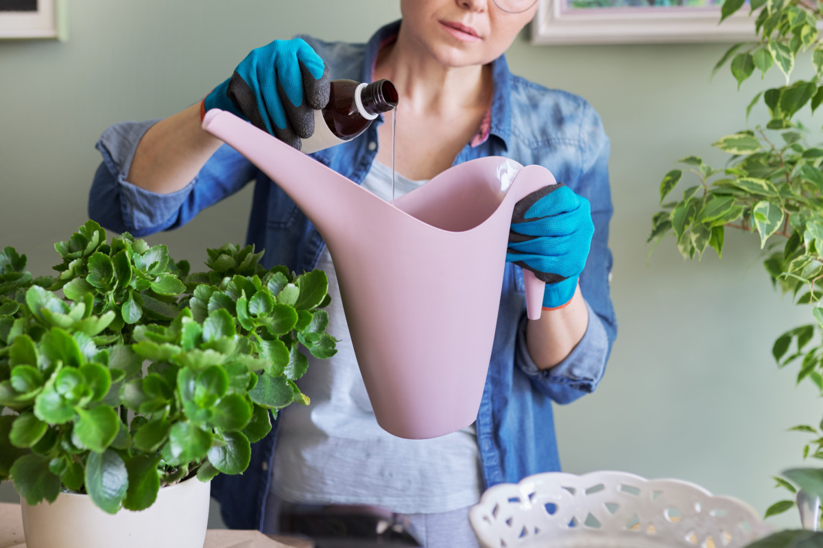 Woman pouring something into watering can from brown glass bottle