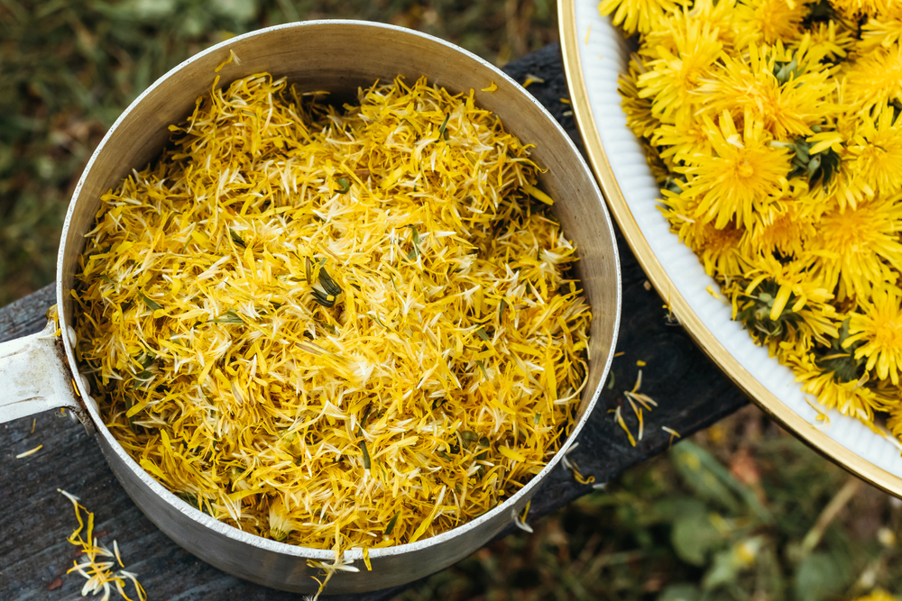 a pot filled with shredded dandelion blossoms