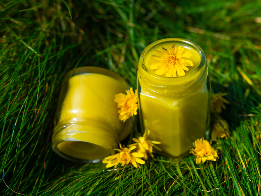 Homemade dandelion flower salve in small jars. 