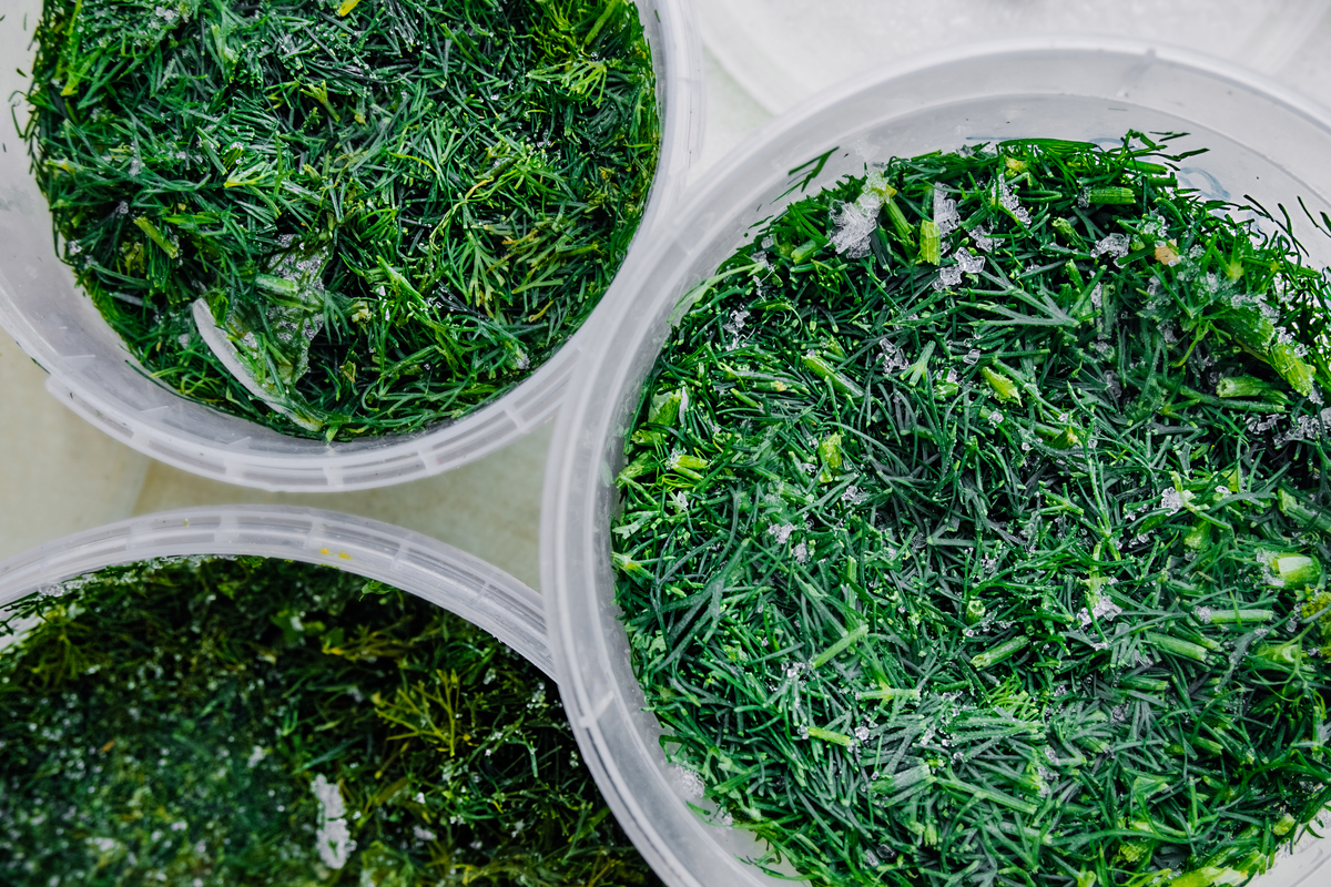 Plastic tubs of freshly frozen dill. 