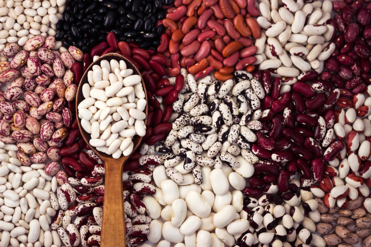 Assortment of dried beans. 
