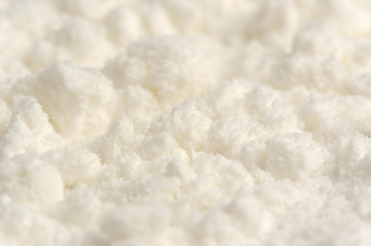 Close up of powdered coconut milk