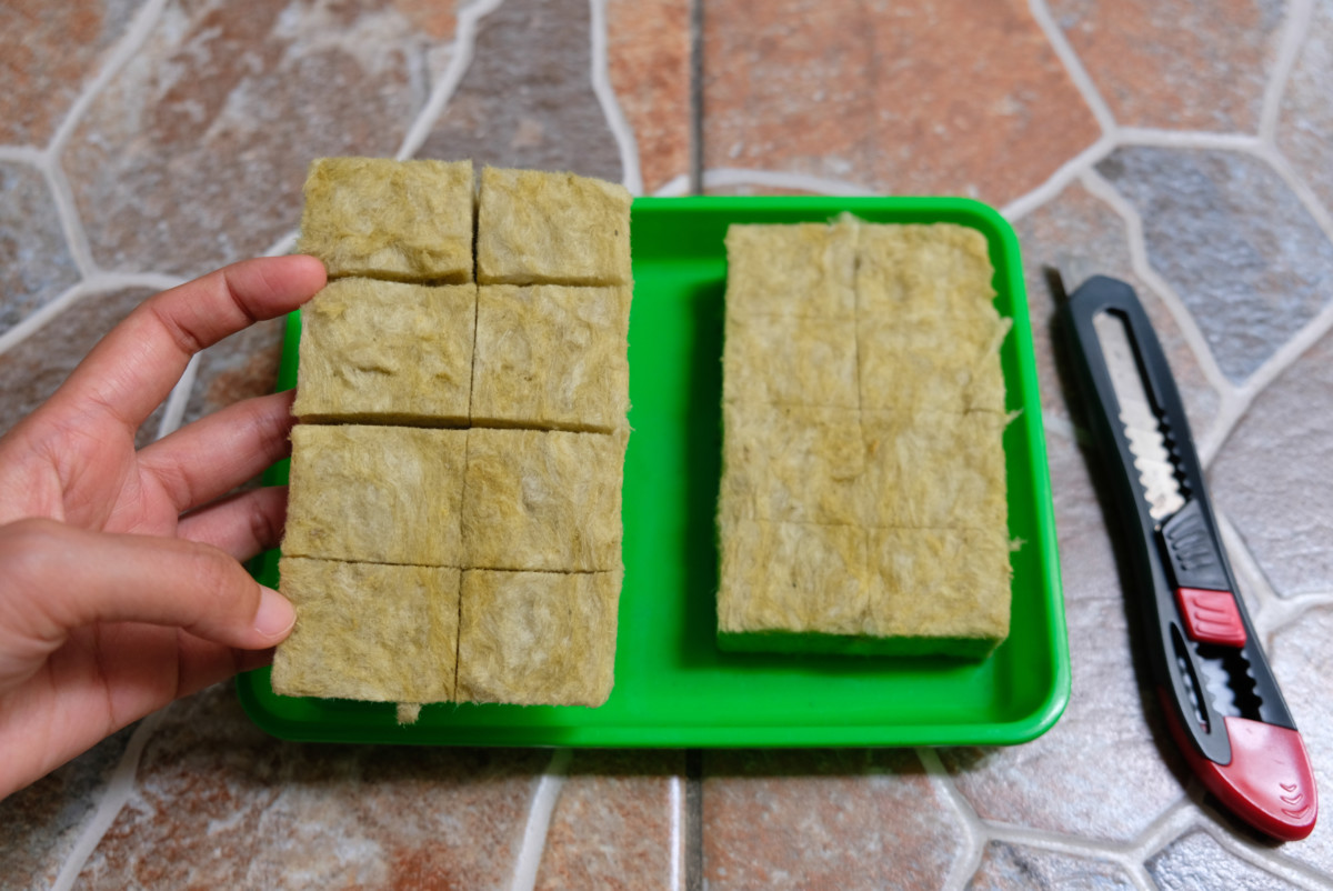 Rockwool sliced into cubes for hydroponic growing