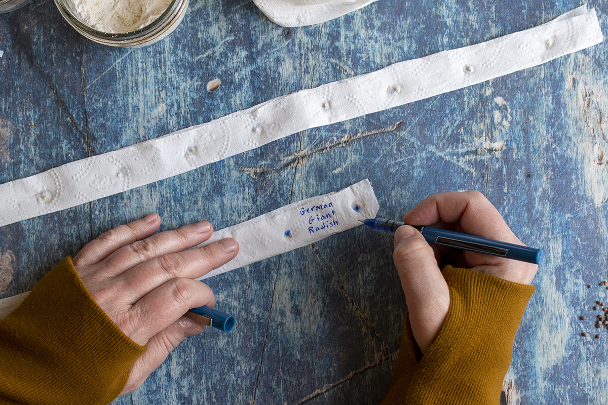 Woman's hand labeling seedtape