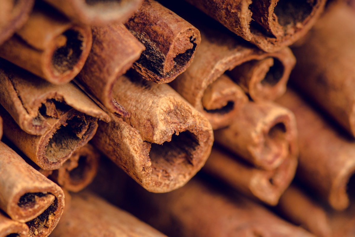 Pile of cinnamon sticks, close up