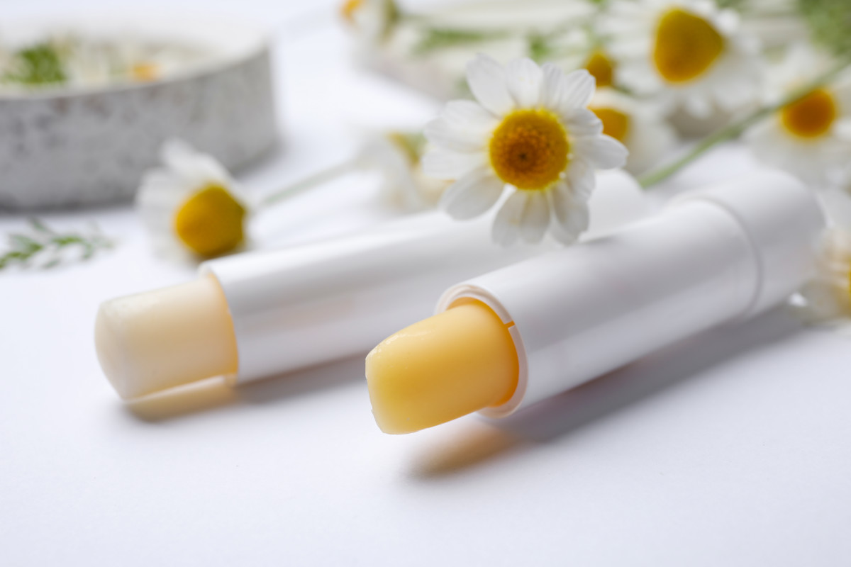 Tubes of homemade chamomile infused lip balm with chamomile flowers.