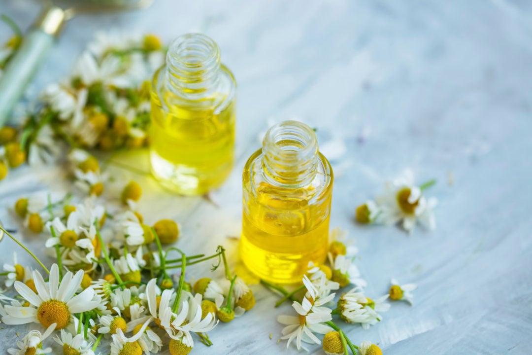 11 Brilliant Ways to Use Chamomile Flowers