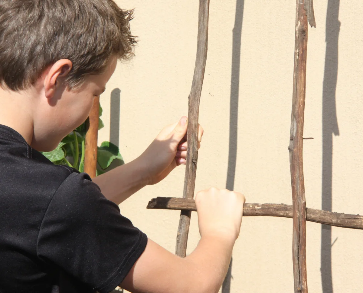 Young boy making a trellis with branches