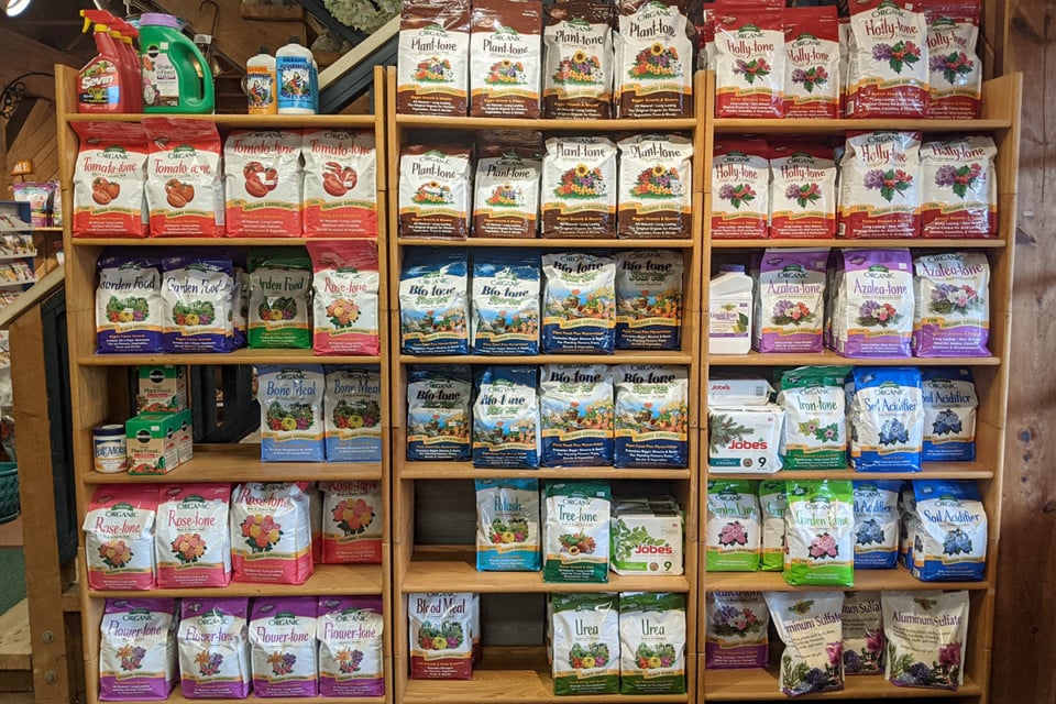 How & When To Fertilize Blueberry Bushes For Buckets Of Berries