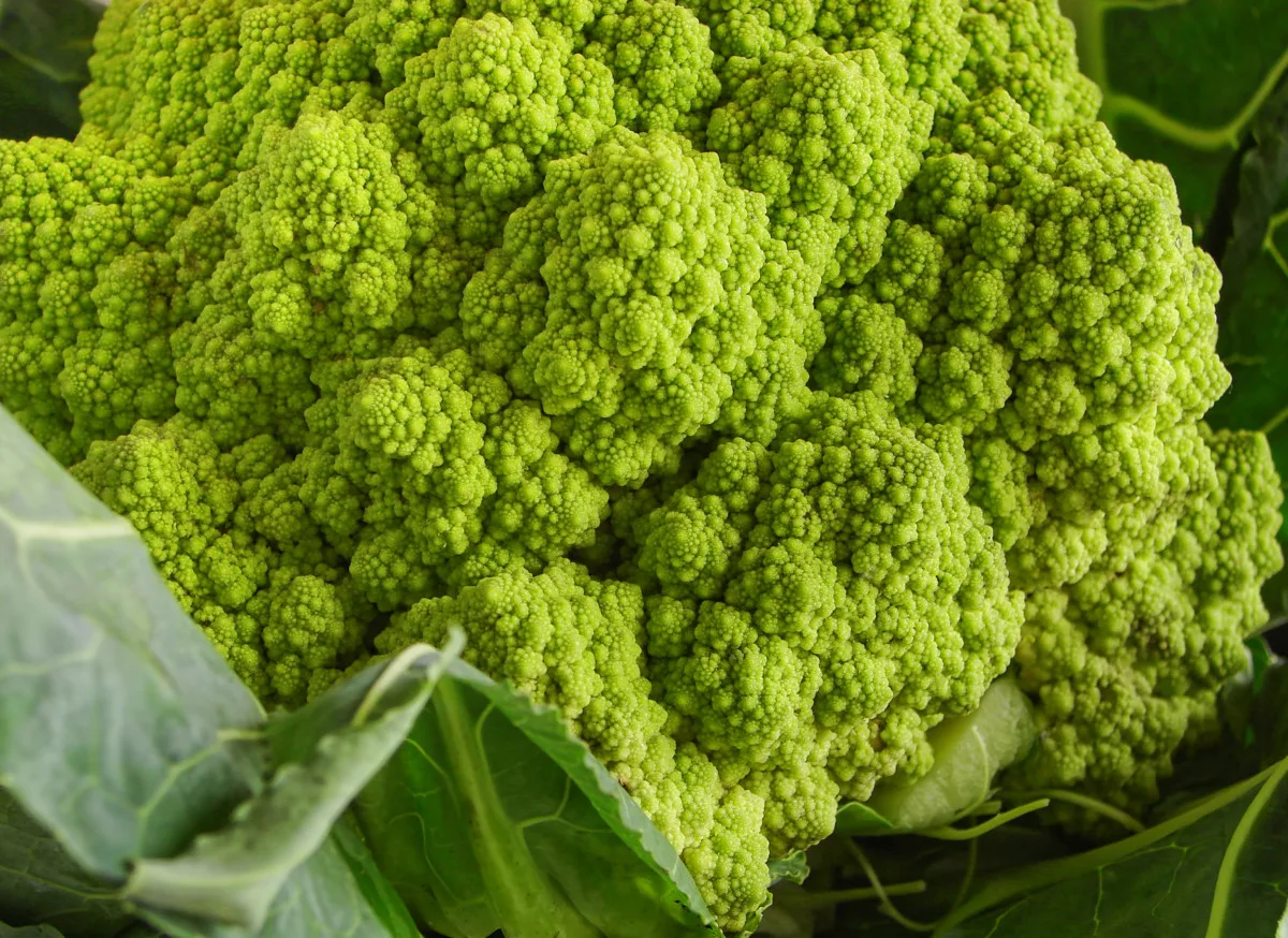 Broccoli romanesco