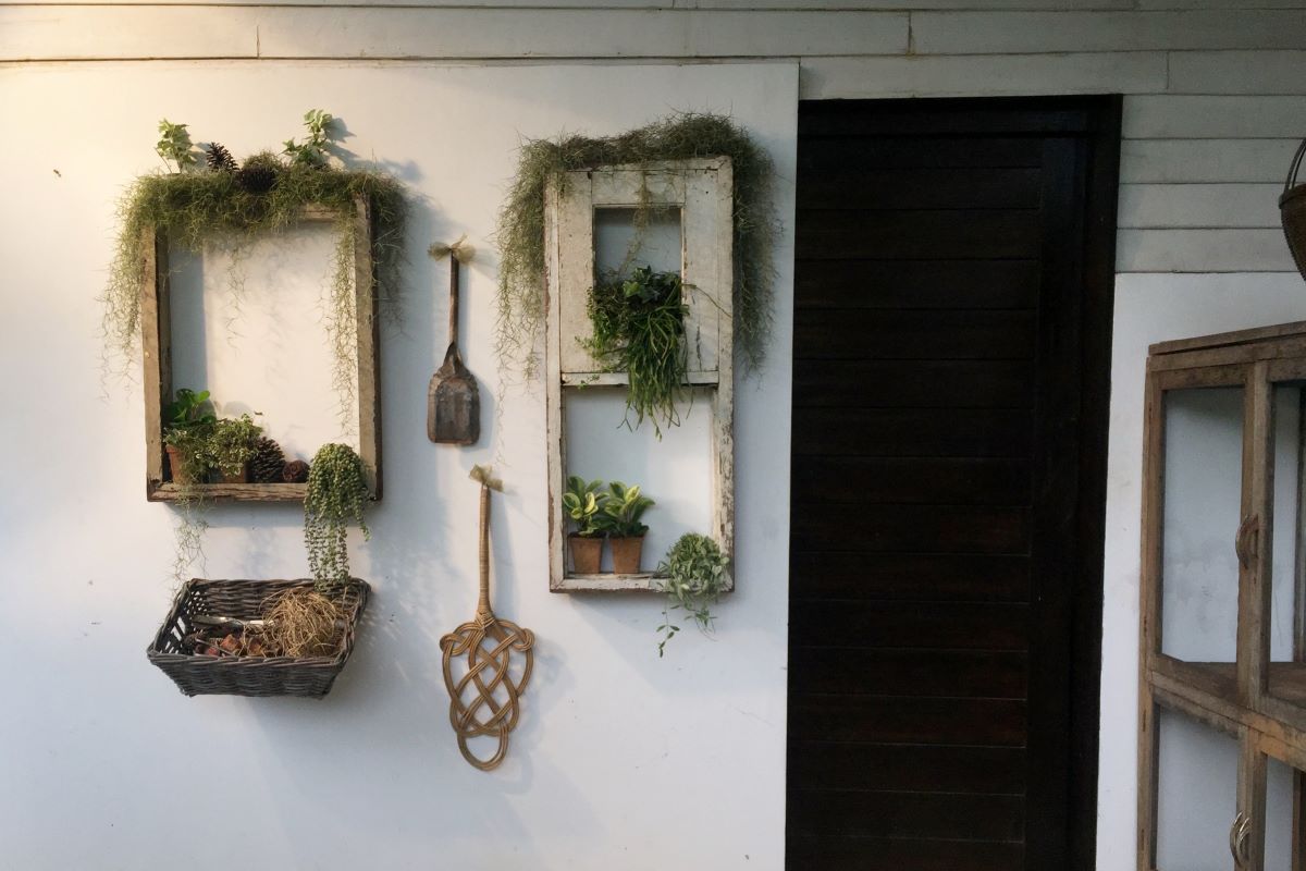 Plants in hanging frames on wall