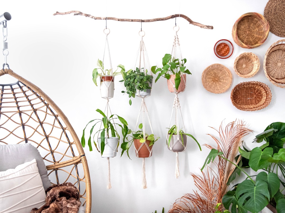 Several plants in a macrame plant holder against the wall