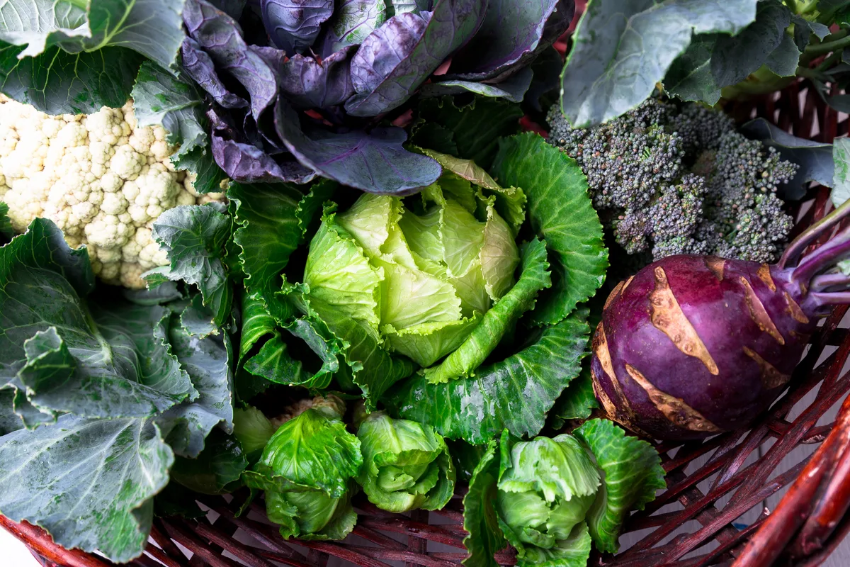 A wicker basket with cabbage, cauliflower, broccoli and kohlrabi