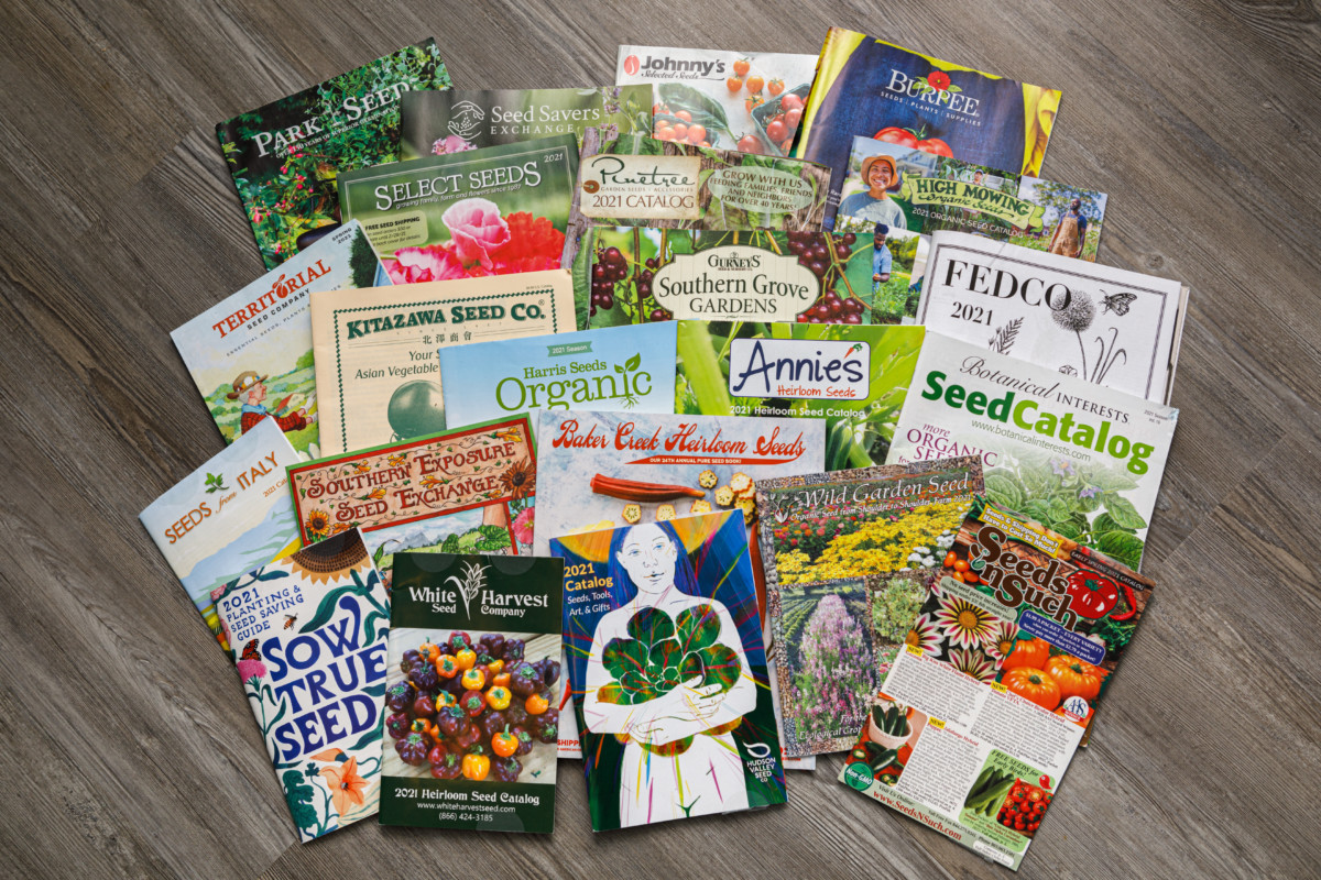 Assortment of seed catalogs arranged on the floor