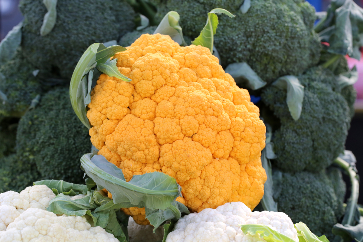 Bright orange cauliflower head