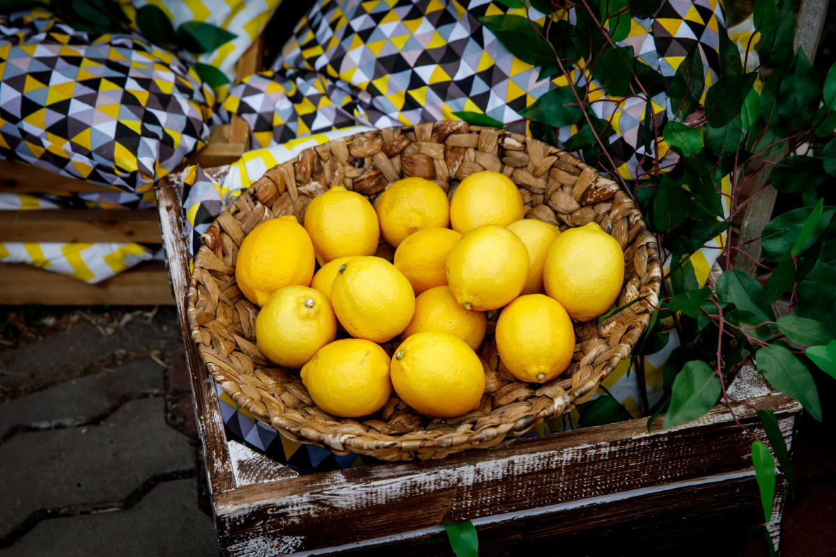 A basket of freshly picked Meyer lemons. 
