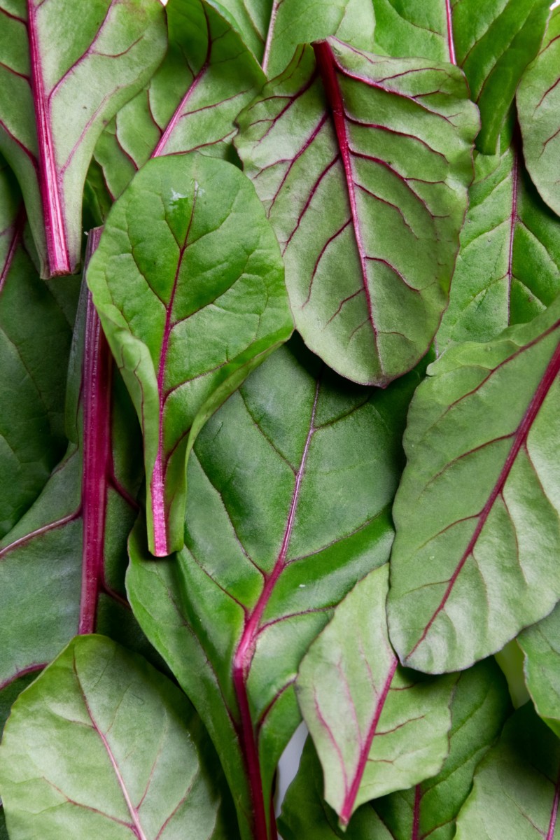 Small beet leaves ready to be eaten.