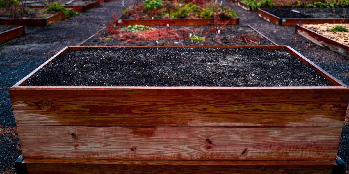 A raised bed made with cedar wood. 