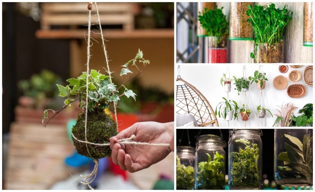 9 Innovative Hanging Plant Ideas For Small Spaces