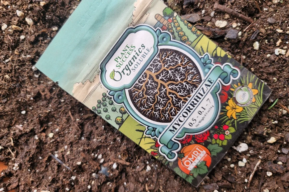 Packet of commercial mycorrhizae on dirt