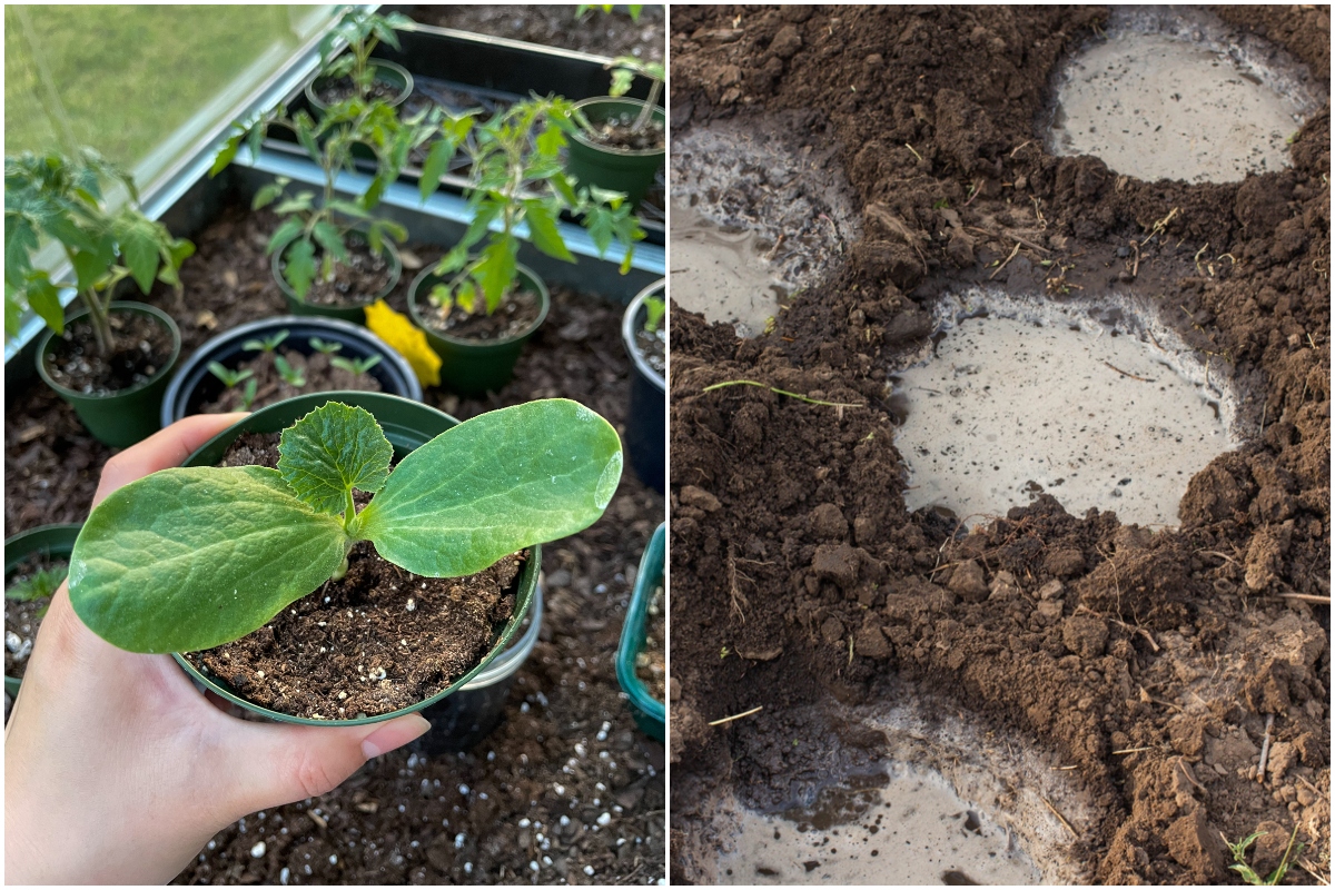 9 Soil Amendments to Put In Your Vegetable Planting Holes