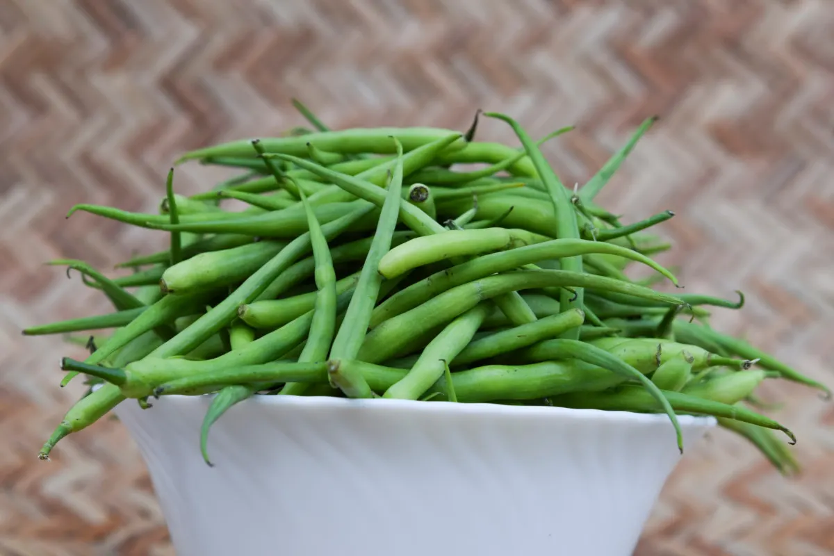 Radish pods in a bowl
