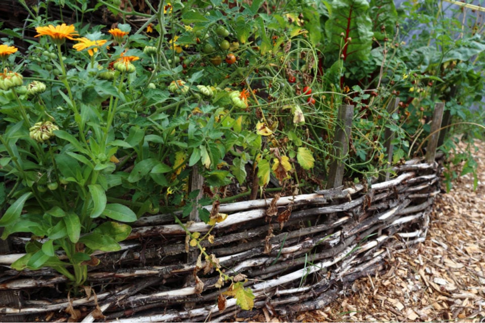 How To Make a Wattle Fence With Branches