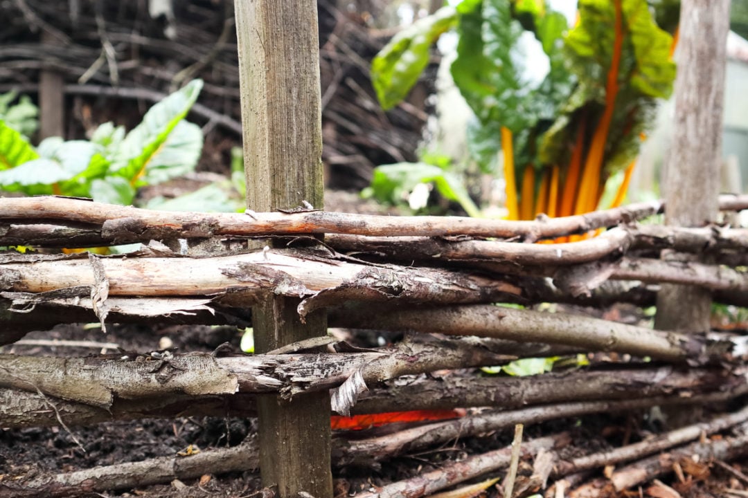 How To Make a Wattle Fence With Branches