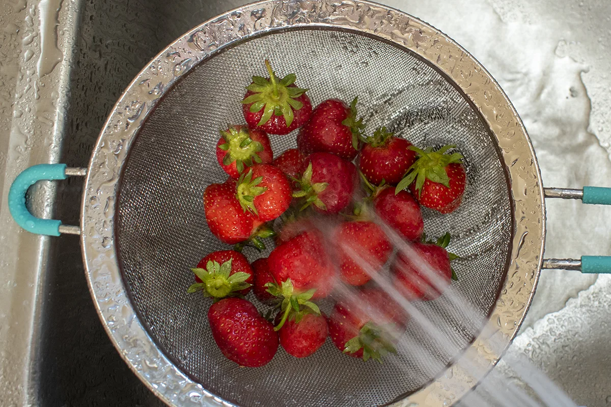 Strawberries in sink being sprayed with water