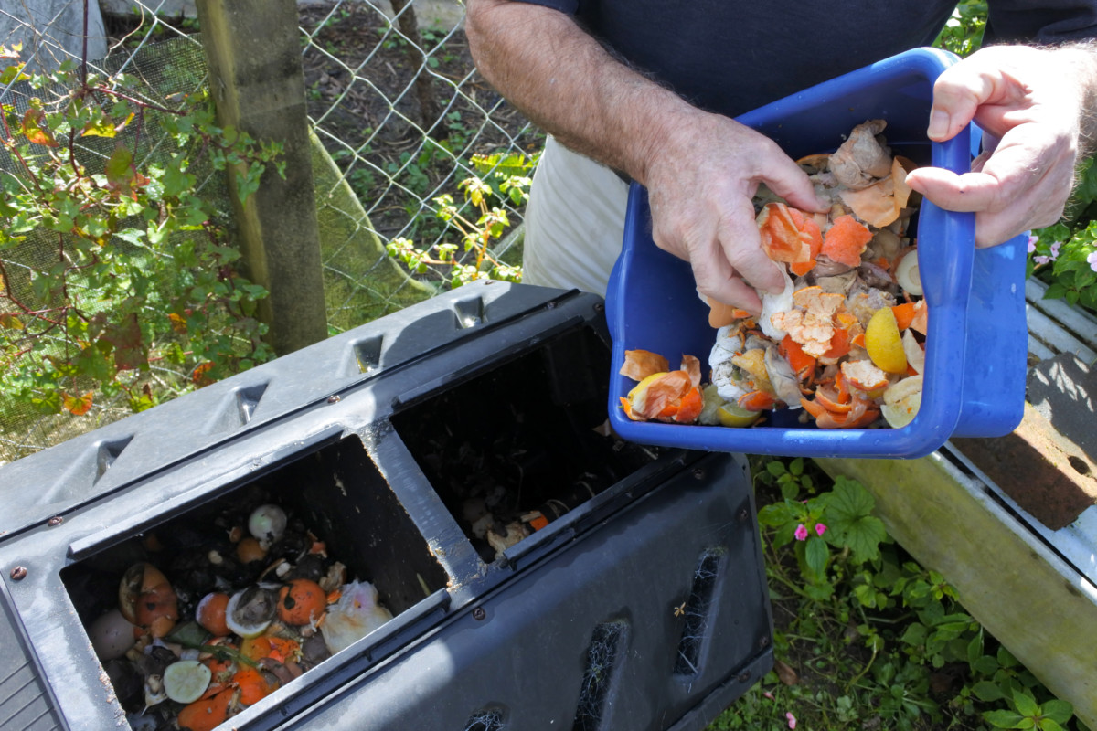 Man emptying compost bin into compost tumbler