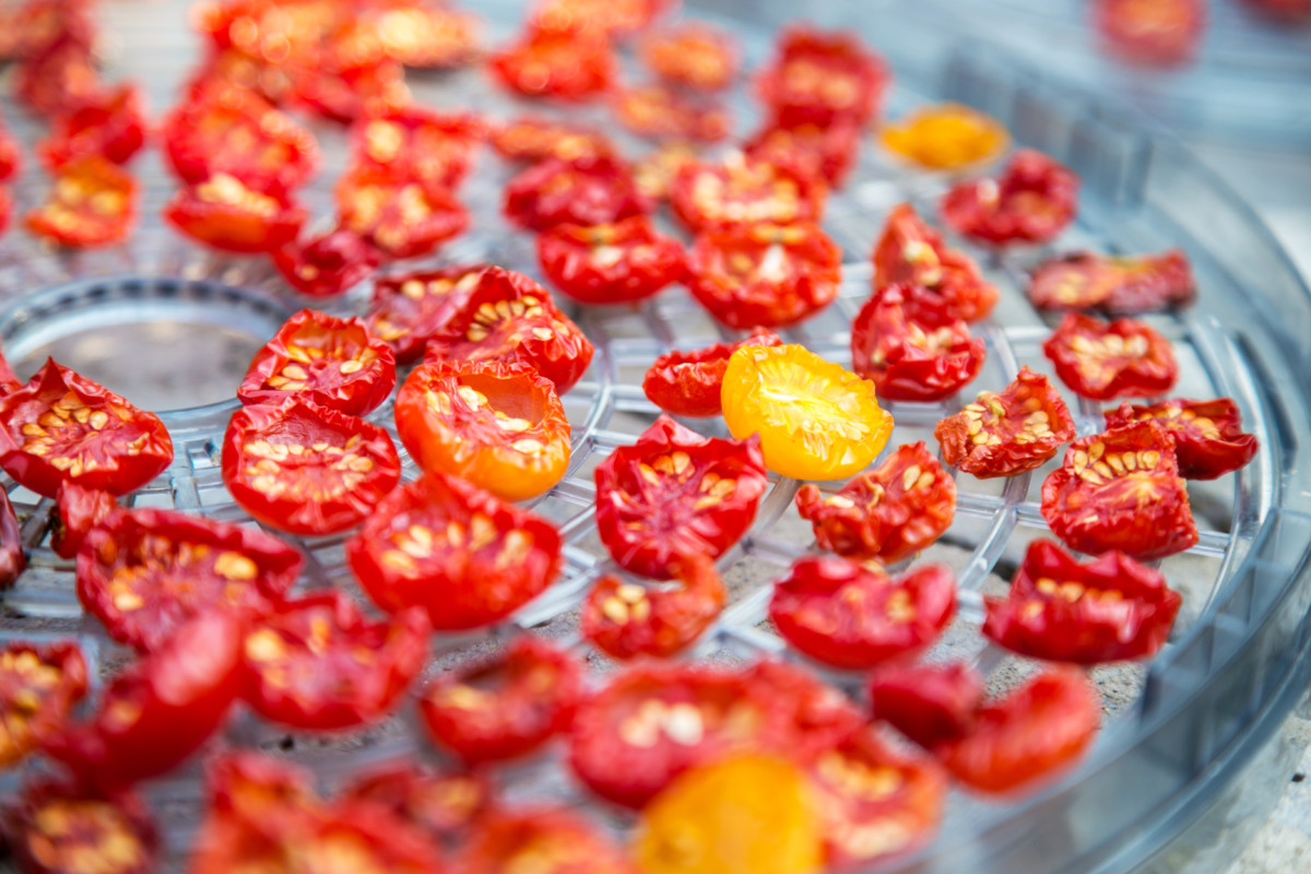 Tomatoes on a dehydrator tray