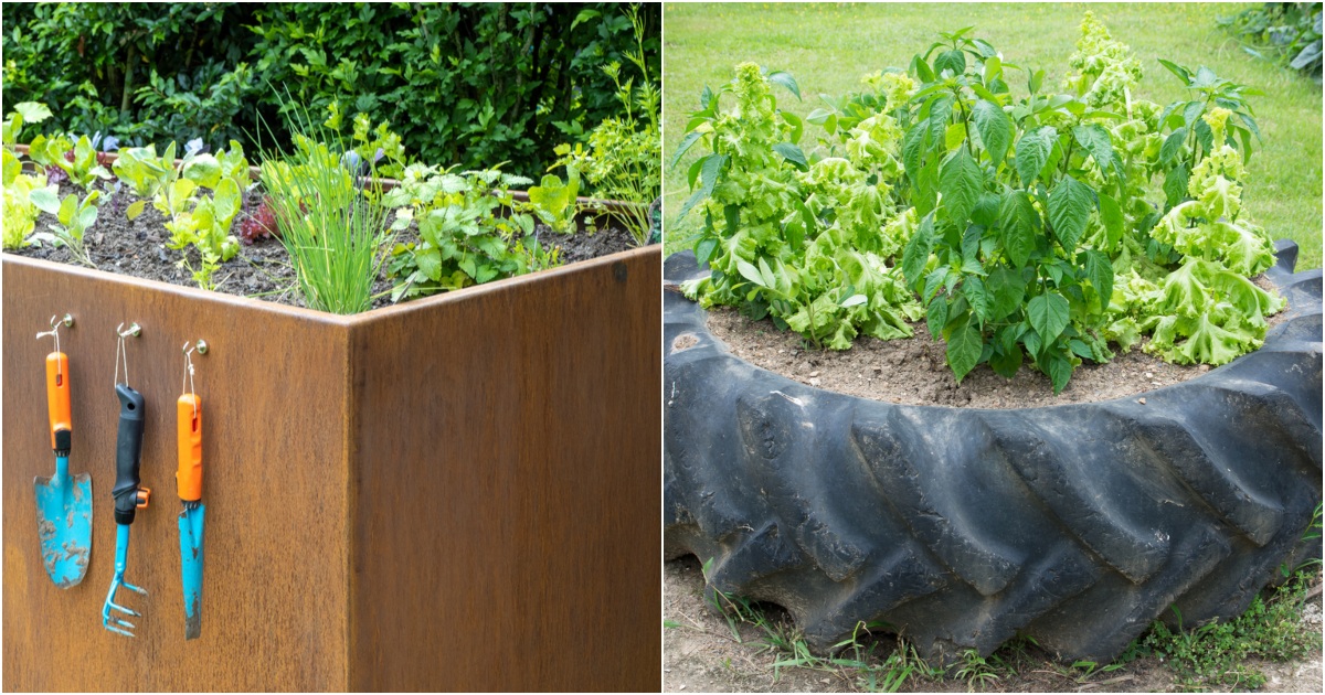 8 Best Raised Garden Bed Materials (& 5 You Should Never Use)