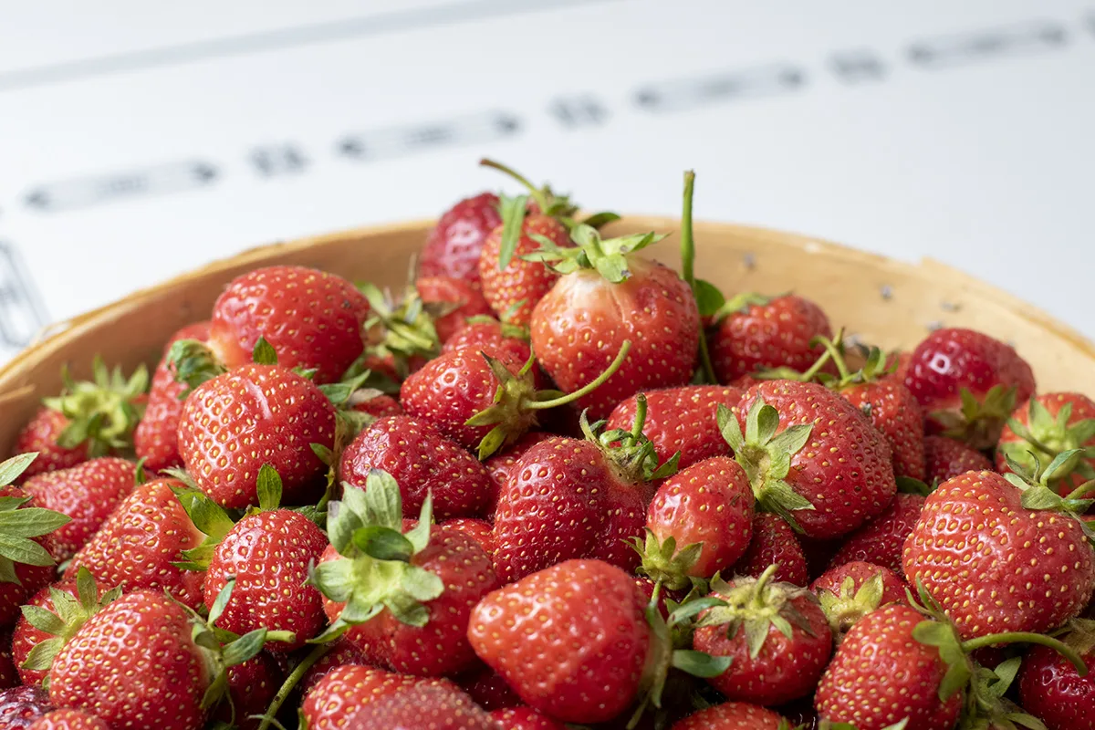 Basket of strawberries
