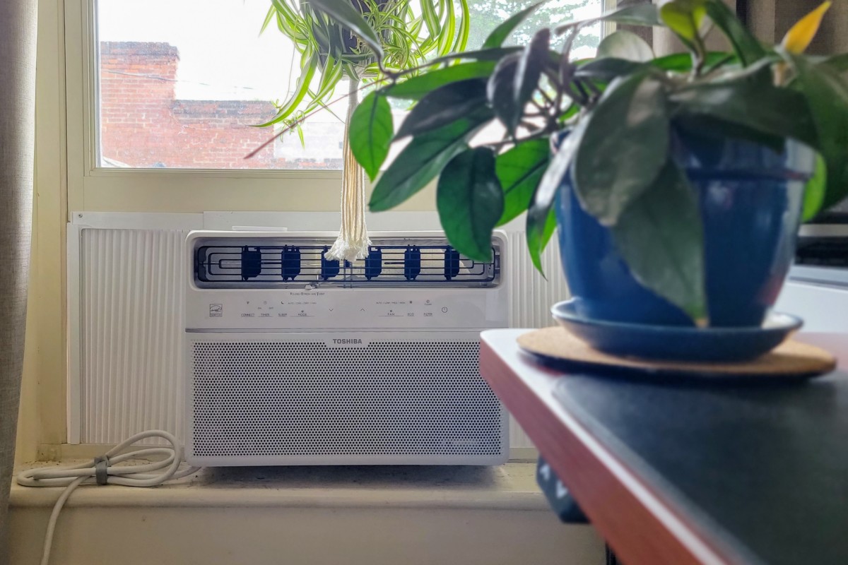 Soft focus plant in front with window air conditioner unit in back.