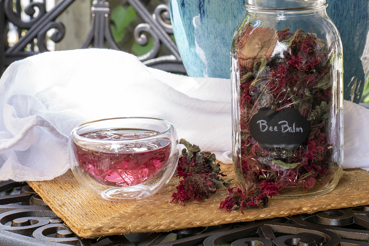 A pink colored cup of bee balm tea