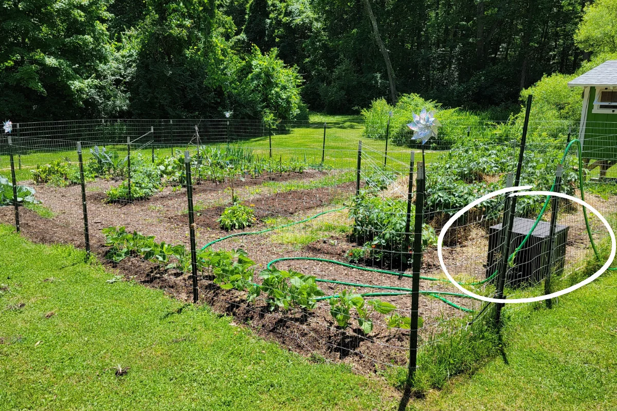 Photo of garden with gardening box circled in white.