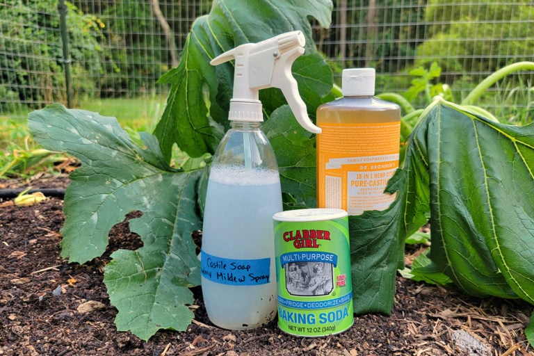6 Brilliant Uses for Castile Soap in the Garden