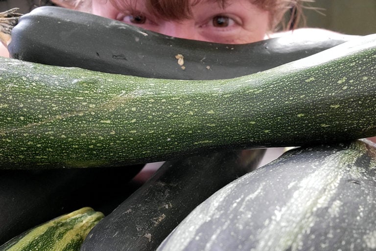 Freeze Zucchini Without Blanching + My Tip for Easily Using Frozen Zucchini