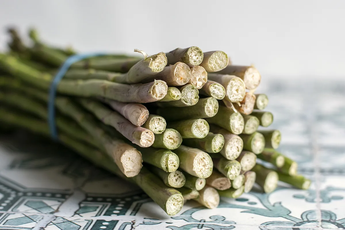 Close up view of woody bottom stems of asparagus.