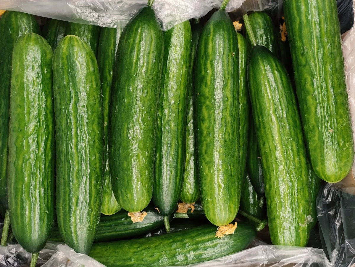 https://www.ruralsprout.com/wp-content/uploads/2022/08/fruit-veg-fridge-cucumbers.jpg.webp