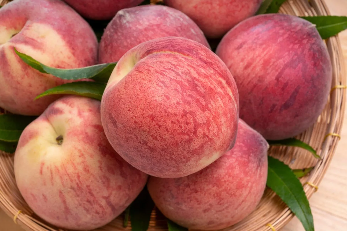 https://www.ruralsprout.com/wp-content/uploads/2022/08/fruit-veg-fridge-peaches.jpg.webp