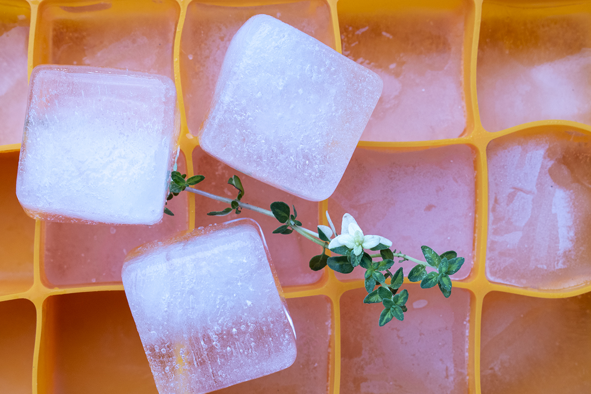 Thyme syrup ice cubes with a sprig of thyme next to them