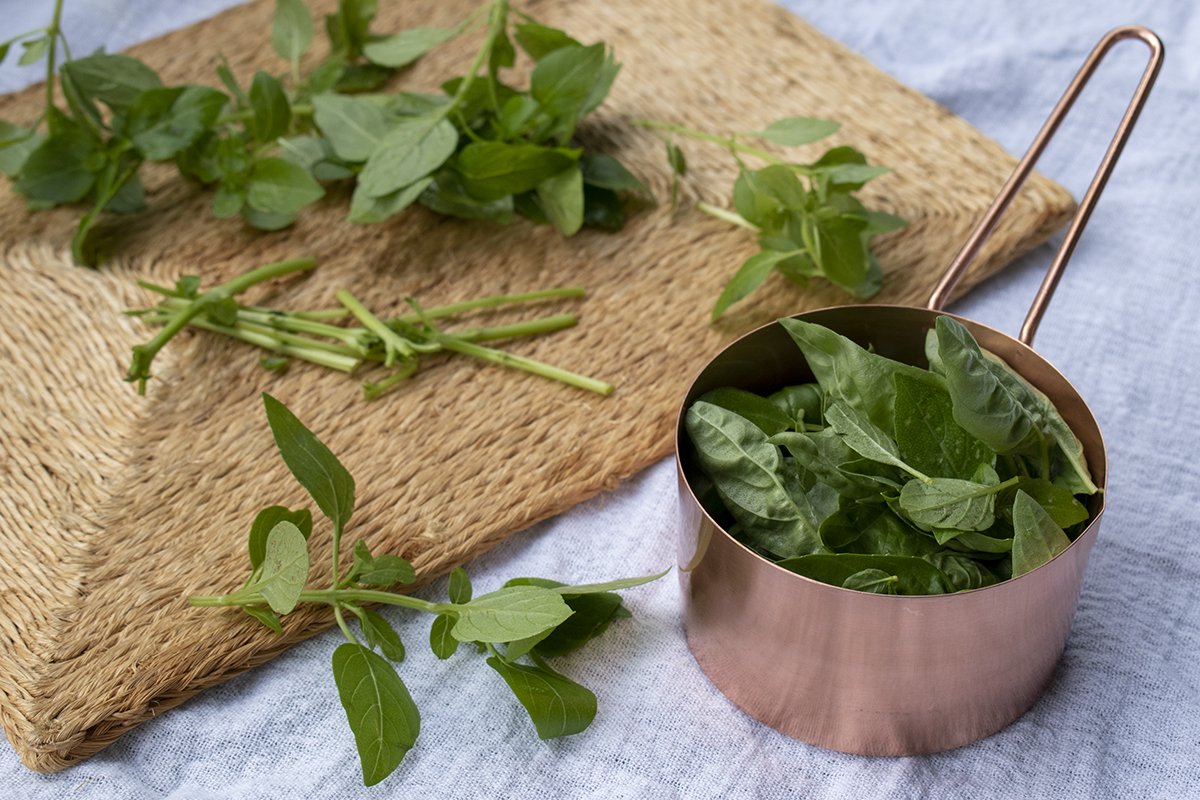 Basil leaves in a measuring cup