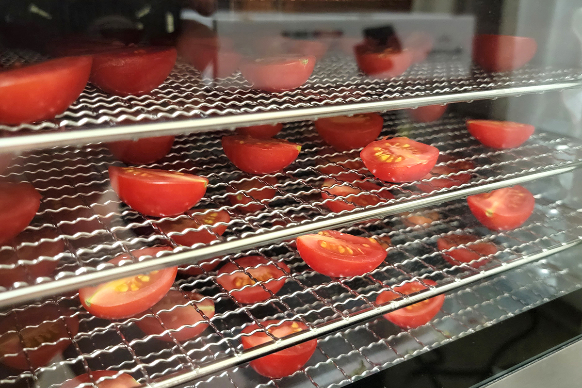 Tomato halves on food dehydrator trays.