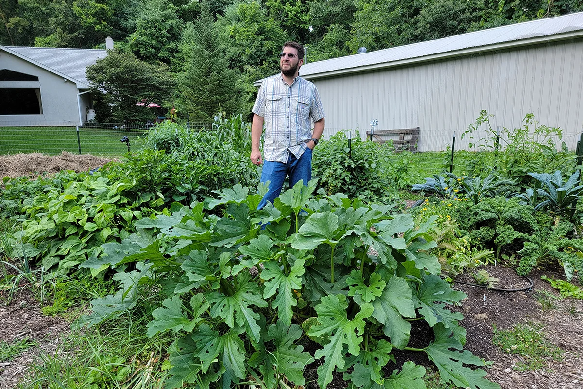 Man standing behind a large zucchini plant. 