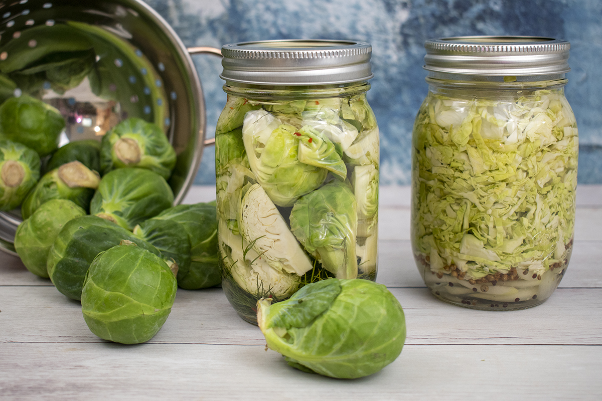 Two jars of pickled Brussels sprouts next to a colander and whole sprouts